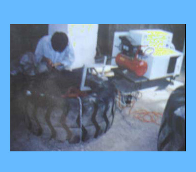 ���⣺��̥�޸����� �Ķ�������3864